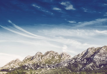 免费短信呼死你2023