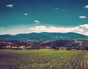 电话轰在线网页版入口